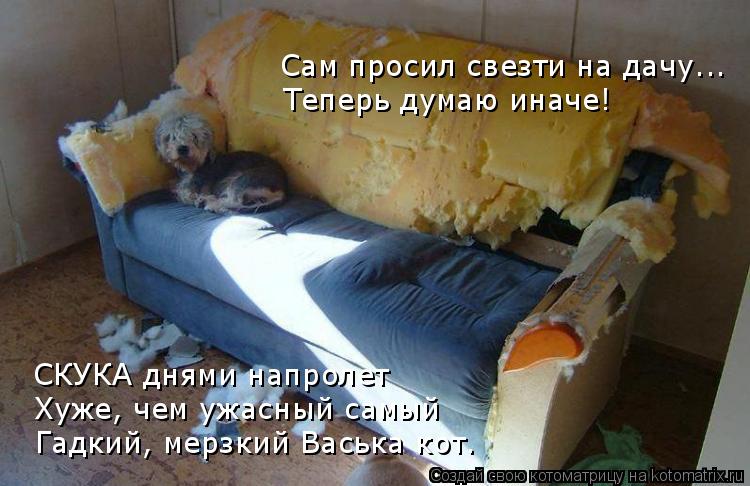 Котоматрица: Сам просил свезти на дачу... Теперь думаю иначе! СКУКА днями напролет Хуже, чем ужасный самый Гадкий, мерзкий Васька кот.
