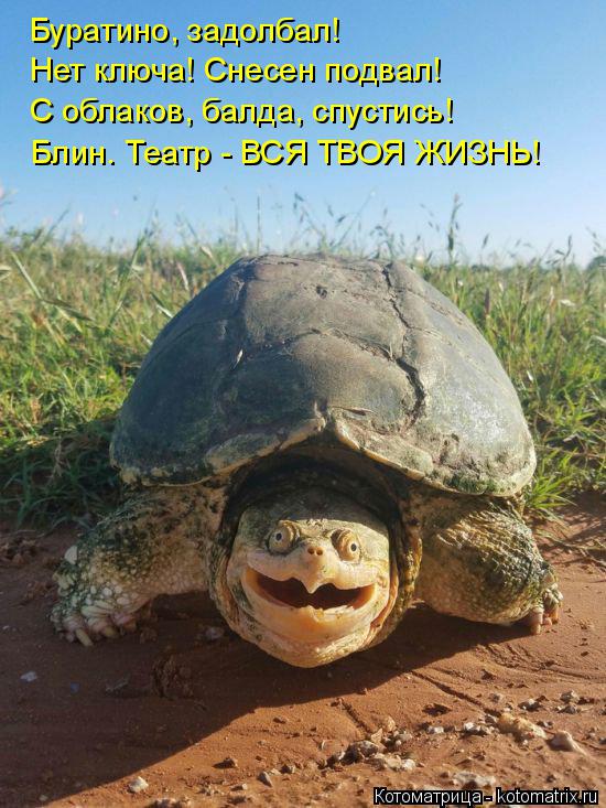 Буратино, задолбал! Нет ключа! Снесен подвал! С облаков, балда, спустись! Блин. Театр - ВСЯ ТВОЯ ЖИЗ... Котоматрица: Буратино, задолбал! Нет ключа! Снесен подвал! С облаков, балда, спустись! Блин. Театр - ВСЯ ТВОЯ ЖИЗНЬ!