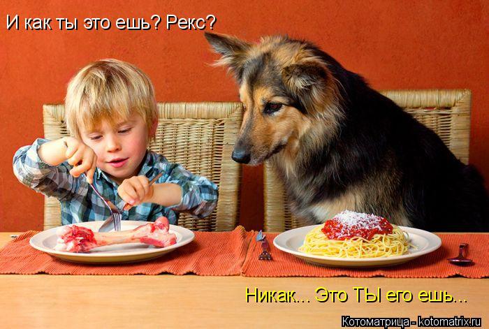 Никак... Это ТЫ его ешь... И как ты это ешь? Рекс?... Котоматрица: Никак... Это ТЫ его ешь... И как ты это ешь? Рекс?