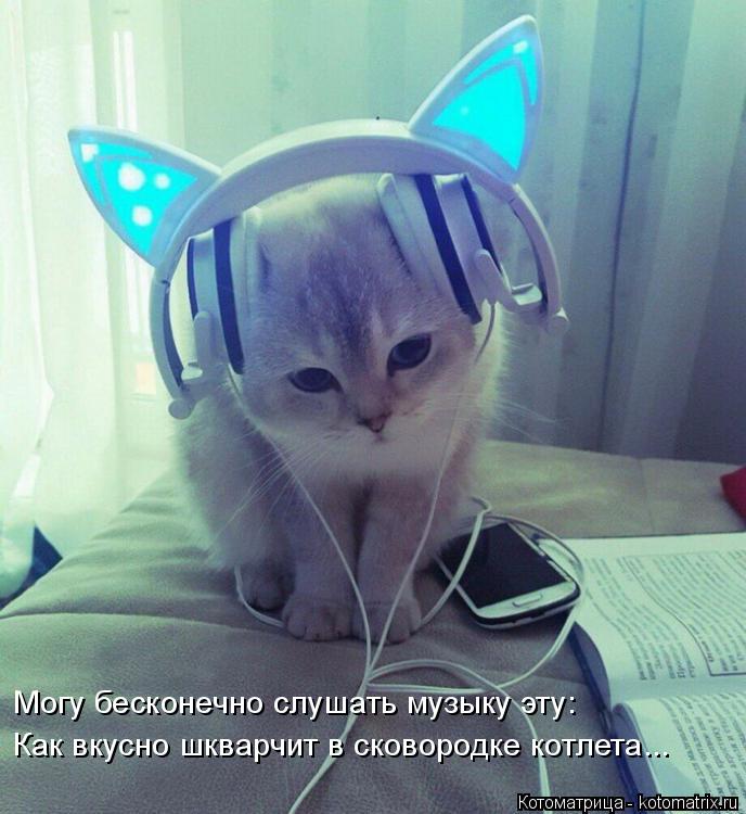 Котоматрица: Могу бесконечно слушать музыку эту: Как вкусно шкварчит в сковородке котлета...