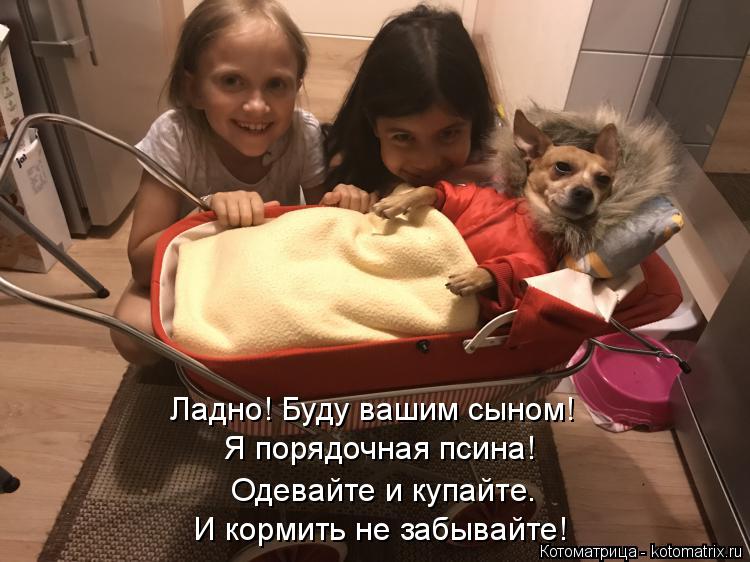 Котоматрица: Я порядочная псина! И кормить не забывайте! Одевайте и купайте. Ладно! Буду вашим сыном!