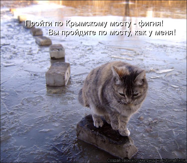 Пройти по Крымскому мосту - фигня! Вы пройдите по мосту, как у меня!... Котоматрица: Пройти по Крымскому мосту - фигня! Вы пройдите по мосту, как у меня!