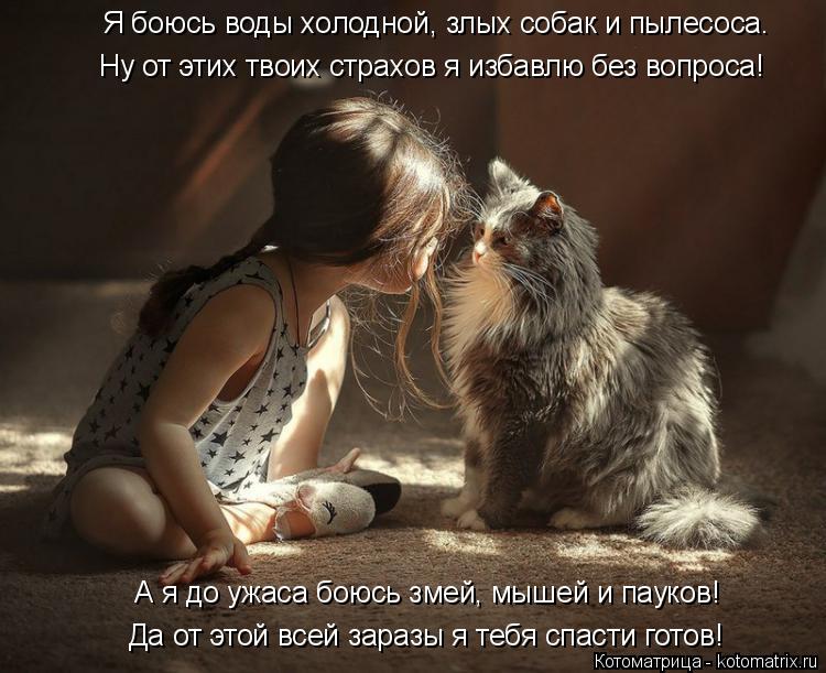 Котоматрица: Я боюсь воды холодной, злых собак и пылесоса. Ну от этих твоих страхов я избавлю без вопроса!  А я до ужаса боюсь змей, мышей и пауков! Да от эт?