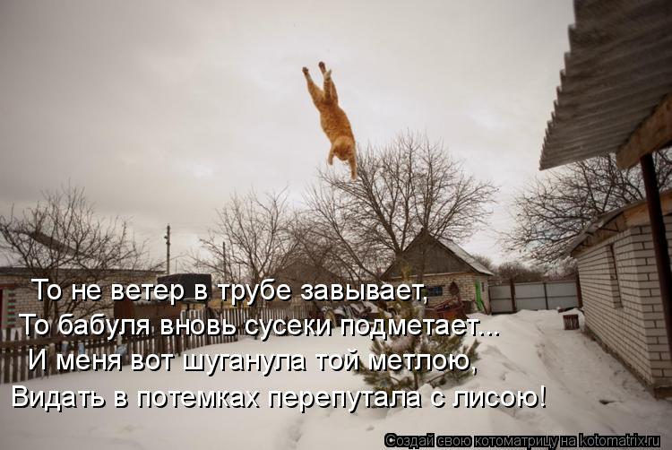 То не ветер в трубе завывает, То бабуля вновь сусеки подметает... И меня вот шуганула той метлою, Ви... Котоматрица: То не ветер в трубе завывает, То бабуля вновь сусеки подметает... И меня вот шуганула той метлою, Видать в потемках перепутала с лисою!