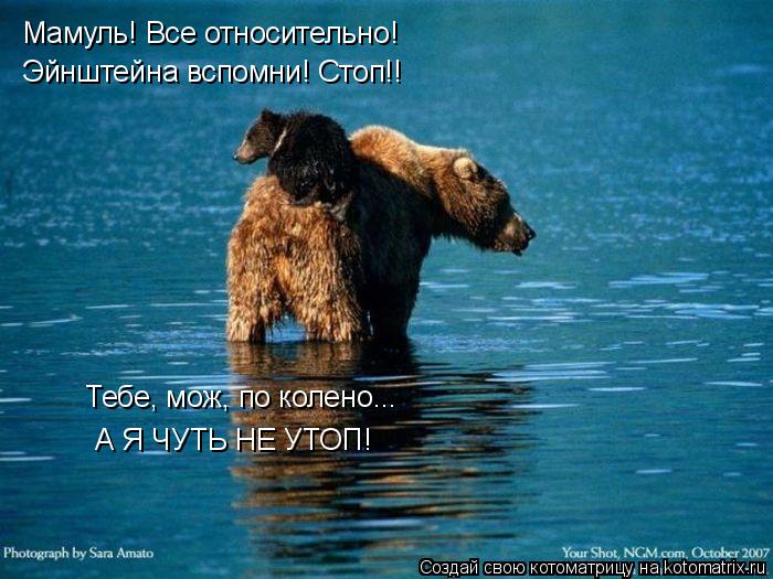 Мамуль! Все относительно! Эйнштейна вспомни! Стоп!! Тебе, мож, по колено... А Я ЧУТЬ НЕ УТОП!... Котоматрица: Мамуль! Все относительно! Эйнштейна вспомни! Стоп!! Тебе, мож, по колено... А Я ЧУТЬ НЕ УТОП!