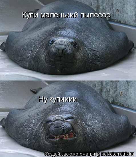 Котоматрица: Купи маленький пылесос Ну купииии