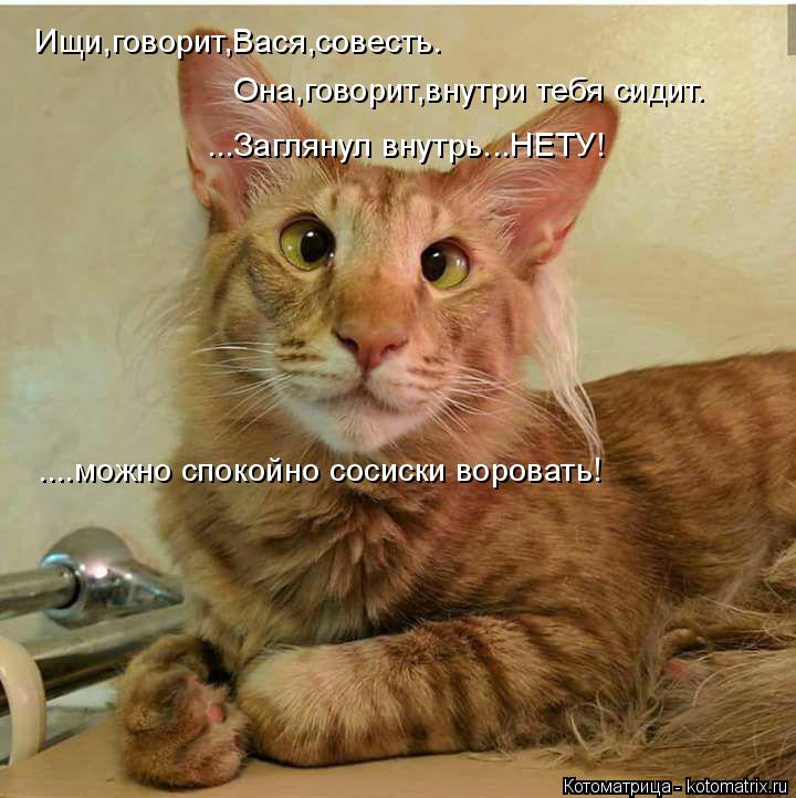 Котоматрица: Ищи,говорит,Вася,совесть.  Она,говорит,внутри тебя сидит. ...Заглянул внутрь...НЕТУ! ....можно спокойно сосиски воровать!