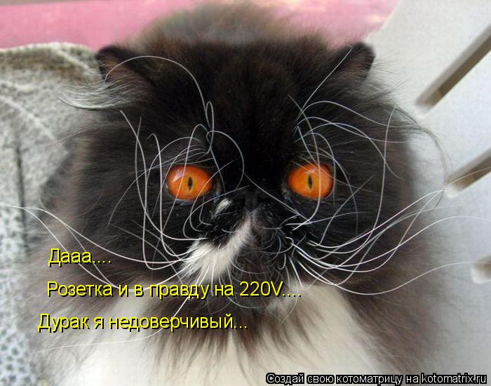 Котоматрица: Дааа.... Розетка и в правду на 220V.... Дурак я недоверчивый...