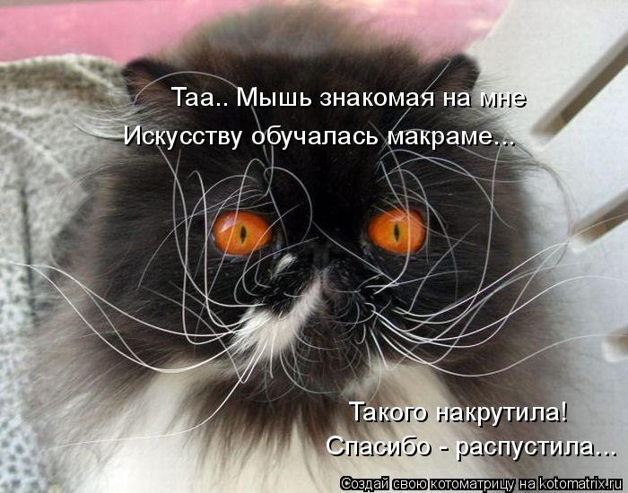 Котоматрица: Таа.. Мышь знакомая на мне Искусству обучалась макраме... Такого накрутила! Спасибо - распустила...