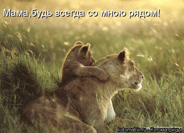 Котоматрица: Мама,будь всегда со мною рядом!