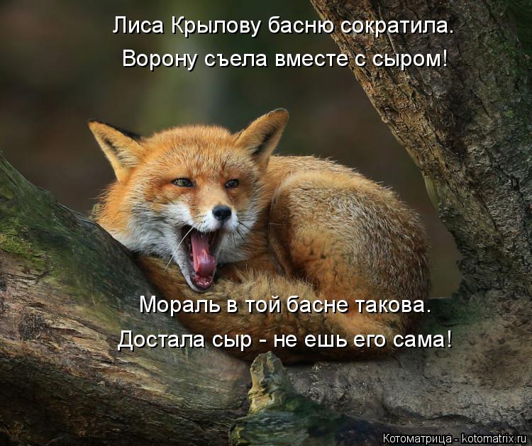 Котоматрица: Лиса Крылову басню сократила. Ворону съела вместе с сыром! Мораль в той басне такова. Достала сыр - не ешь его сама!