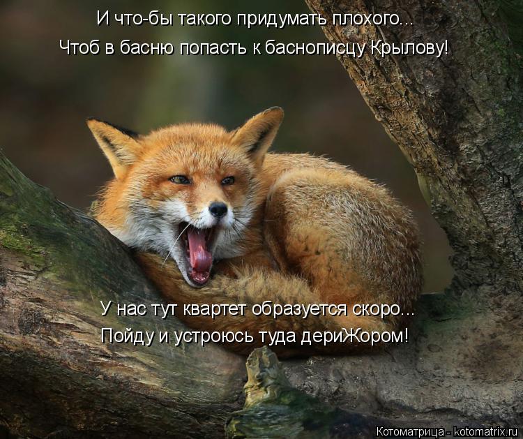 Котоматрица: И что-бы такого придумать плохого... Чтоб в басню попасть к баснописцу Крылову! У нас тут квартет образуется скоро... Пойду и устроюсь туда де?