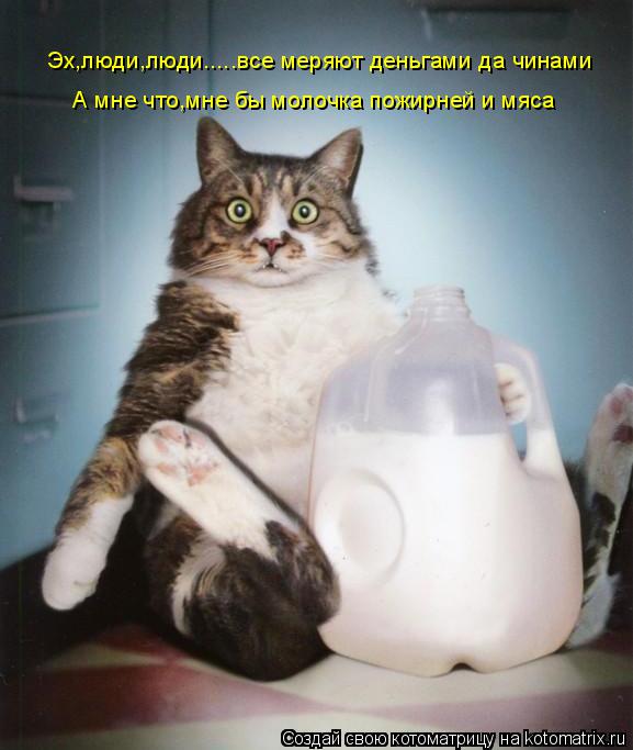Котоматрица: Эх,люди,люди.....все меряют деньгами да чинами Эх,люди,люди.....все меряют деньгами да чинами А мне что,мне бы молочка пожирней и мяса