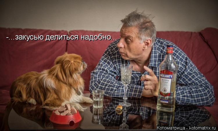 Котоматрица: -...закусью делиться надобно...