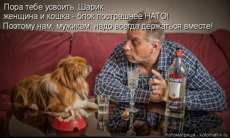Пора тебе усвоить, Шарик: женщина и кошка - блок пострашнее НАТО! Поэтому нам, мужикам, надо всегда д... Котоматрица: Пора тебе усвоить, Шарик: женщина и кошка - блок пострашнее НАТО! Поэтому нам, мужикам, надо всегда держаться вместе!