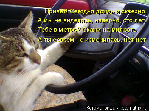 Котоматрица: Привет! Сегодня дождь и скверно, А мы не виделись, наверно, сто лет. Тебе в метро? Скажи на милость, А ты совсем не изменилась, нет-нет.
