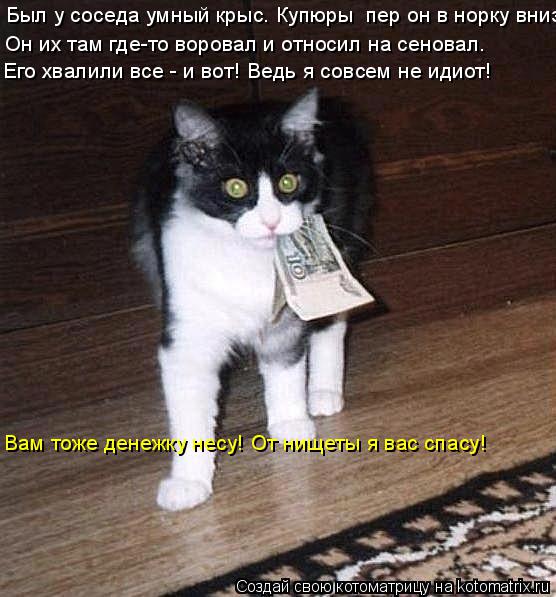 Котоматрица: Был у соседа умный крыс. Купюры  пер он в норку вниз. Он их там где-то воровал и относил на сеновал. Его хвалили все - и вот! Ведь я совсем не иди