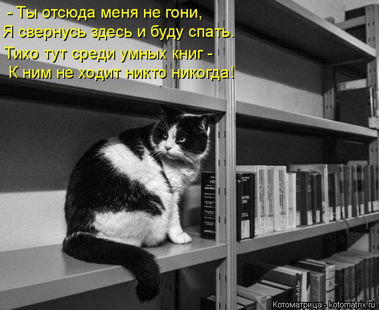- Ты отсюда меня не гони, Я свернусь здесь и буду спать. Тихо тут среди умных книг - К ним не ходит ... Котоматрица: - Ты отсюда меня не гони, Я свернусь здесь и буду спать. Тихо тут среди умных книг - К ним не ходит никто никогда!