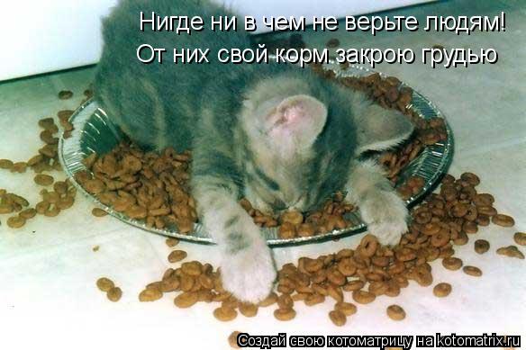 Нигде ни в чем не верьте людям! От них свой корм закрою грудью... Котоматрица: Нигде ни в чем не верьте людям! От них свой корм закрою грудью