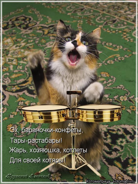 Котоматрица: Эх, бараночки-конфеты, Тары-растабары! Для своей котяры! Жарь, хозяюшка, котлеты
