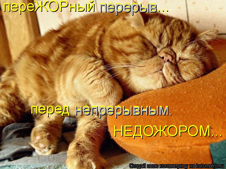 Котоматрица: переЖОРный перерыв... перед непрерывным НЕДОЖОРОМ... перерыв непрерывным.