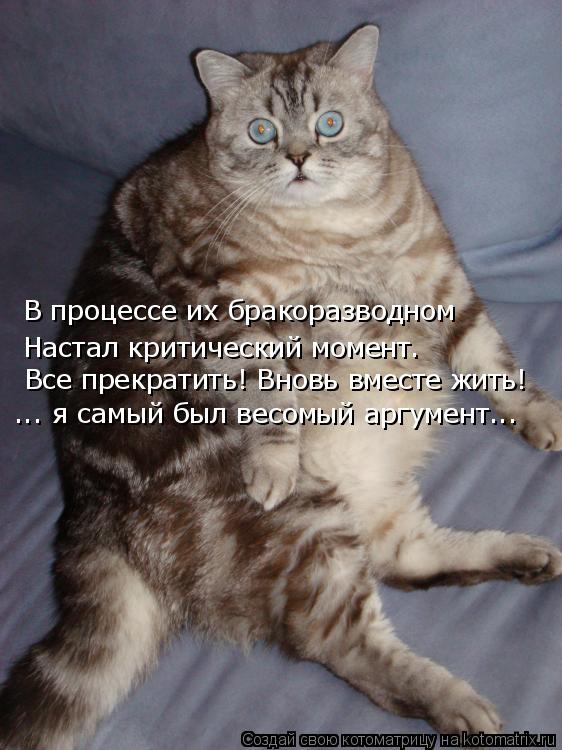 Котоматрица: В процессе их бракоразводном Настал критический момент. Все прекратить! Вновь вместе жить! ... я самый был весомый аргумент...