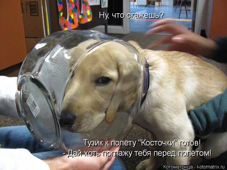 Котоматрица: Тузик к полёту "Косточки" готов! Ну, что скажешь? - Дай хоть поглажу тебя перед полётом!