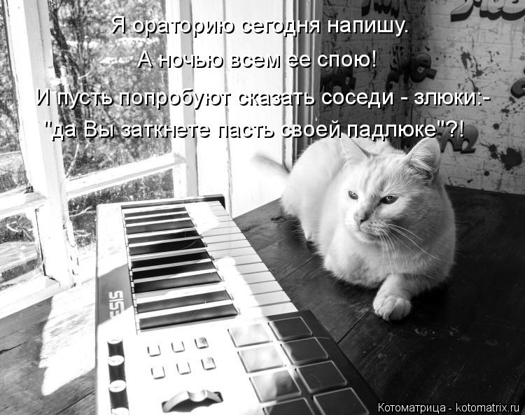 Котоматрица: Я ораторию сегодня напишу. А ночью всем ее спою! "да Вы заткнете пасть своей падлюке"?! И пусть попробуют сказать соседи - злюки:-