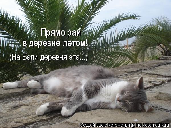 Котоматрица: (На Бали деревня эта...) в деревне летом! Прямо рай