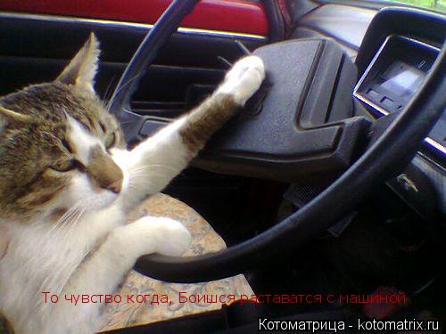 Котоматрица: То чувство когда, Боишся раставатся с машиной