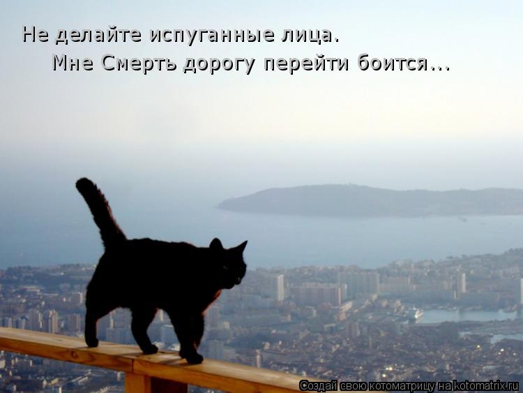 Котоматрица: Не делайте испуганные лица. Мне Смерть дорогу перейти боится...