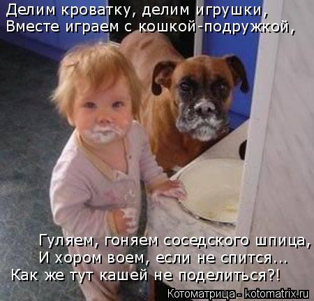 Котоматрица: Делим кроватку, делим игрушки, Вместе играем с кошкой-подружкой, Гуляем, гоняем соседского шпица, И хором воем, если не спится... Как же тут ка