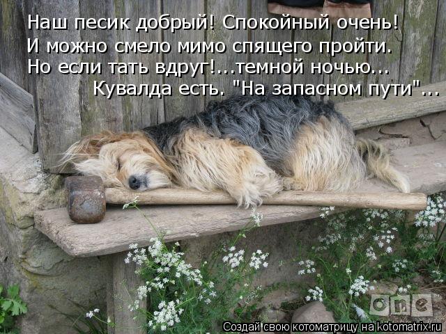 Котоматрица: И можно смело мимо спящего пройти. Наш песик добрый! Спокойный очень! Но если тать вдруг!...темной ночью... Кувалда есть. "На запасном пути"...