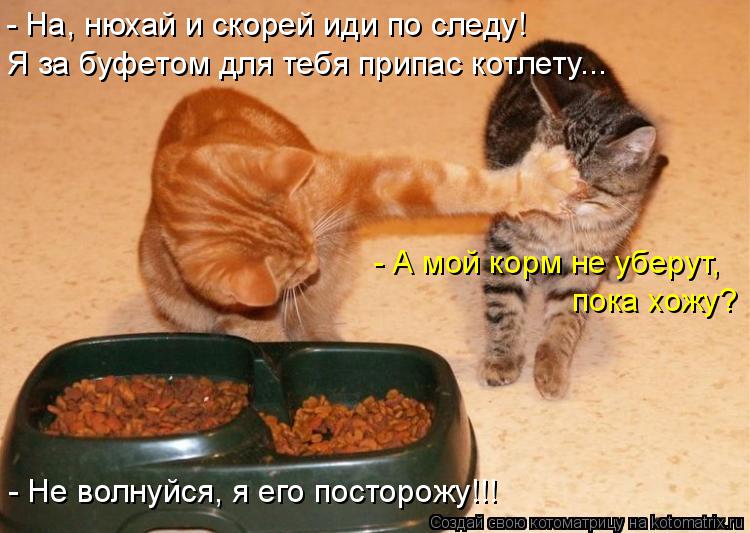 - На, нюхай и скорей иди по следу! Я за буфетом для тебя припас котлету... - А мой корм не уберут, ... Котоматрица: - На, нюхай и скорей иди по следу! Я за буфетом для тебя припас котлету... - А мой корм не уберут, пока хожу? - Не волнуйся, я его посторожу!!!