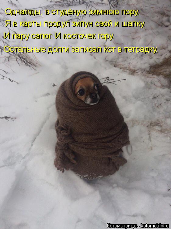 И пару сапог. И косточек гору. Я в карты продул зипун свой и шапку. Остальные долги записал кот в тет... Котоматрица: И пару сапог. И косточек гору. Я в карты продул зипун свой и шапку. Остальные долги записал кот в тетрадку. Однажды, в студёную зимнюю пору,