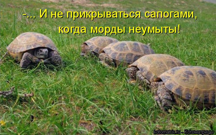 Котоматрица: -... И не прикрываться сапогами, когда морды неумыты!