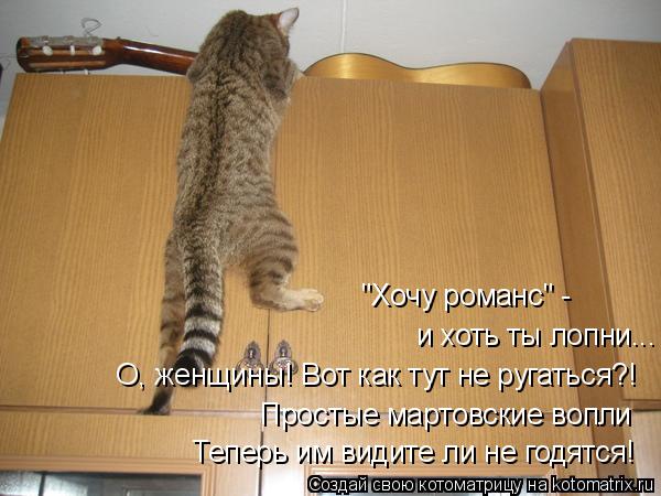 "Хочу романс" - и хоть ты лопни... О, женщины! Вот как тут не ругаться?! Простые мартовские вопли Теп... Котоматрица: "Хочу романс" - и хоть ты лопни... О, женщины! Вот как тут не ругаться?! Простые мартовские вопли Теперь им видите ли не годятся!