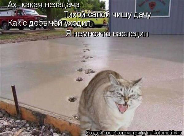 Ах, какая незадача Тихой сапой чищу дачу Как с добычей уходил Я немножко наследил... Котоматрица: Ах, какая незадача Тихой сапой чищу дачу Как с добычей уходил Я немножко наследил
