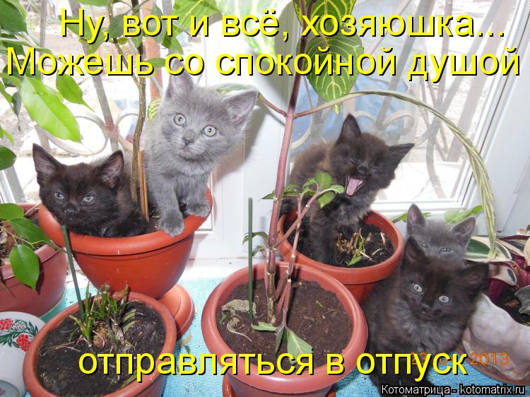 Котоматрица: Можешь со спокойной душой отправляться в отпуск Ну, вот и всё, хозяюшка...