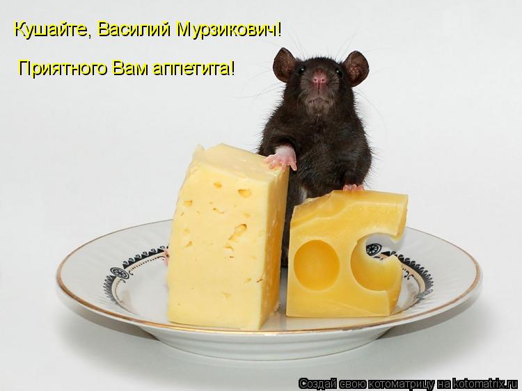 Кушайте, Василий Мурзикович! Приятного Вам аппетита!... Котоматрица: Кушайте, Василий Мурзикович! Приятного Вам аппетита!