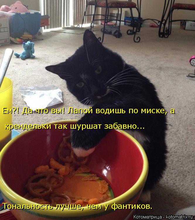 Ем?! Да что вы! Лапой водишь по миске, а крендельки так шуршат забавно... Тональность лучше, чем у ф... Котоматрица: Ем?! Да что вы! Лапой водишь по миске, а крендельки так шуршат забавно... Тональность лучше, чем у фантиков.