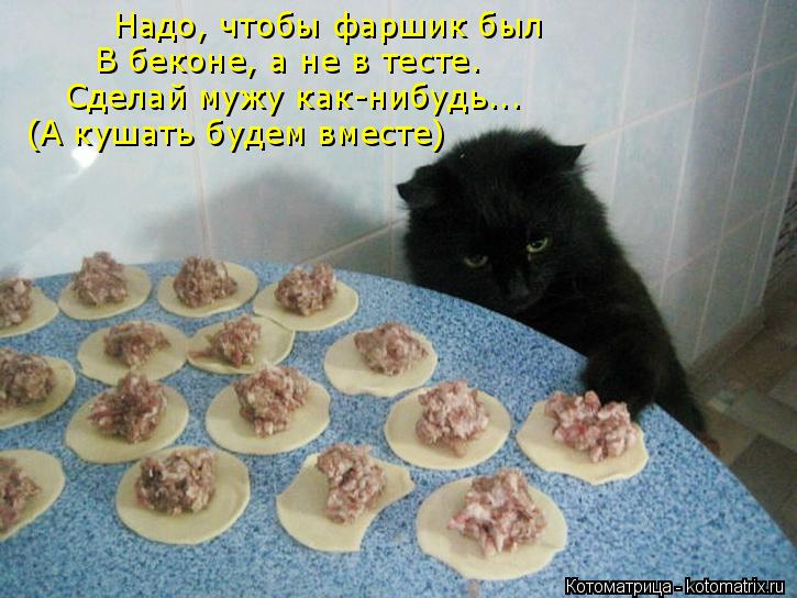 Котоматрица: Надо, чтобы фаршик был В беконе, а не в тесте. Сделай мужу как-нибудь... (А кушать будем вместе)