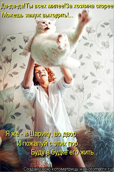 Котоматрица: Да-да-да!Ты всех милее!За хозяина скорее Можешь замуж выходить!... Я же - к Шарику, во двор.  И пожалуй с этих пор Буду в будке его жить..