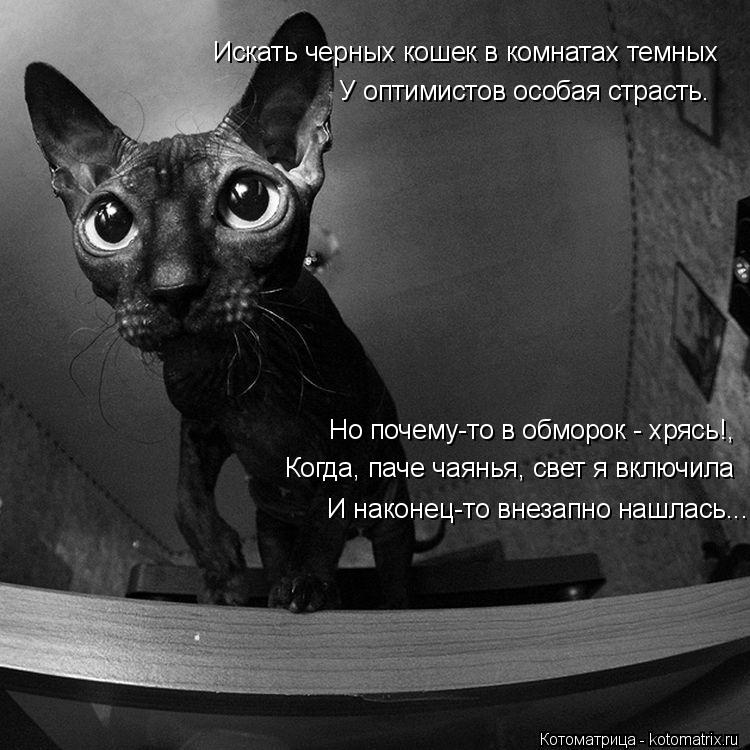 Котоматрица: Искать черных кошек в комнатах темных У оптимистов особая страсть. Когда, паче чаянья, свет я включила Но почему-то в обморок - хрясь!, И нако?