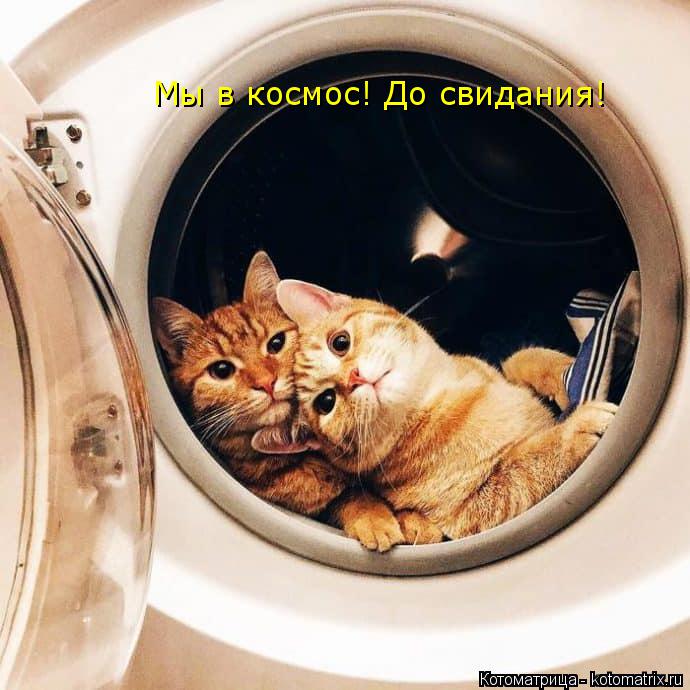 Котоматрица: Мы в космос! До свидания!