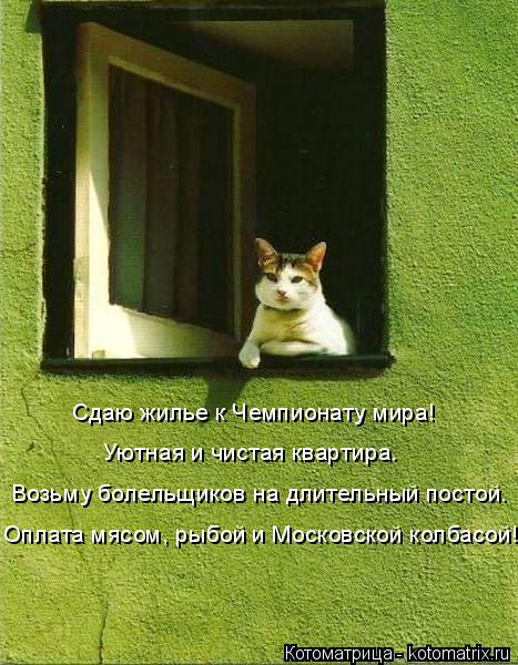 Котоматрица: Возьму болельщиков на длительный постой. Сдаю жилье к Чемпионату мира! Уютная и чистая квартира. Оплата мясом, рыбой и Московской колбасой!
