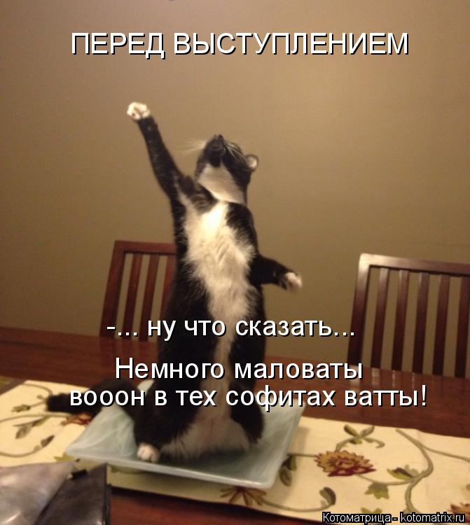 Котоматрица: ПЕРЕД ВЫСТУПЛЕНИЕМ -... ну что сказать... Немного маловаты вооон в тех софитах ватты!