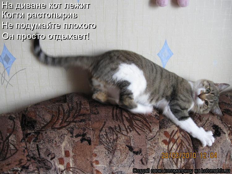 Котоматрица: На диване кот лежит Когти растопырив Не подумайте плохого Он просто отдыхает!