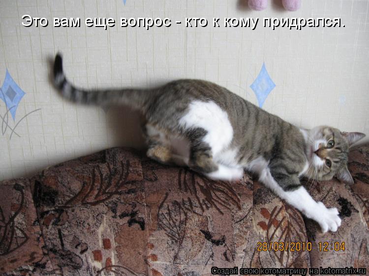 Это вам еще вопрос - кто к кому придрался.... Котоматрица: Это вам еще вопрос - кто к кому придрался.