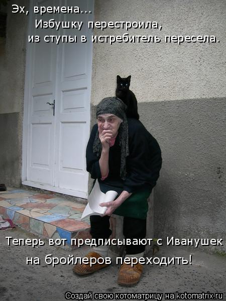 Котоматрица: на бройлеров переходить! Эх, времена... Избушку перестроила,  из ступы в истребитель пересела. Теперь вот предписывают с Иванушек